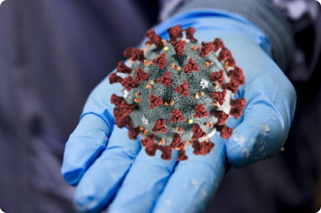 coronavirus